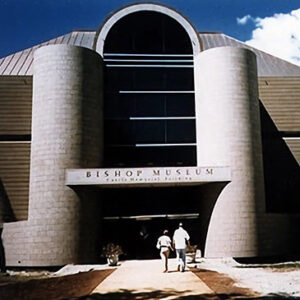 alldeck-museum