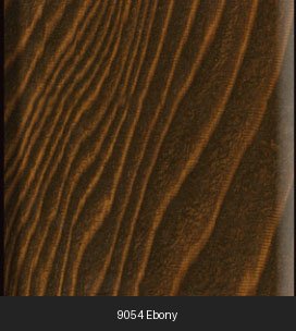 9054 Ebony Color Swatch
